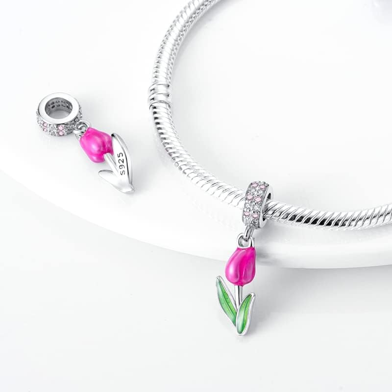 CYCUFF Store 925 Sterling Silver Charms Suitable for Charm Necklaces, Bracelet Pendants Beads Jewellery Gift for Women Family Friends - Image 1